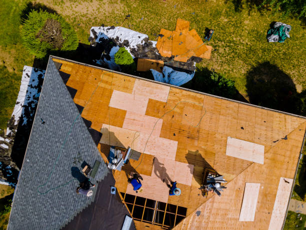 Trusted Mulberry, AR Roofing Contractor Experts
